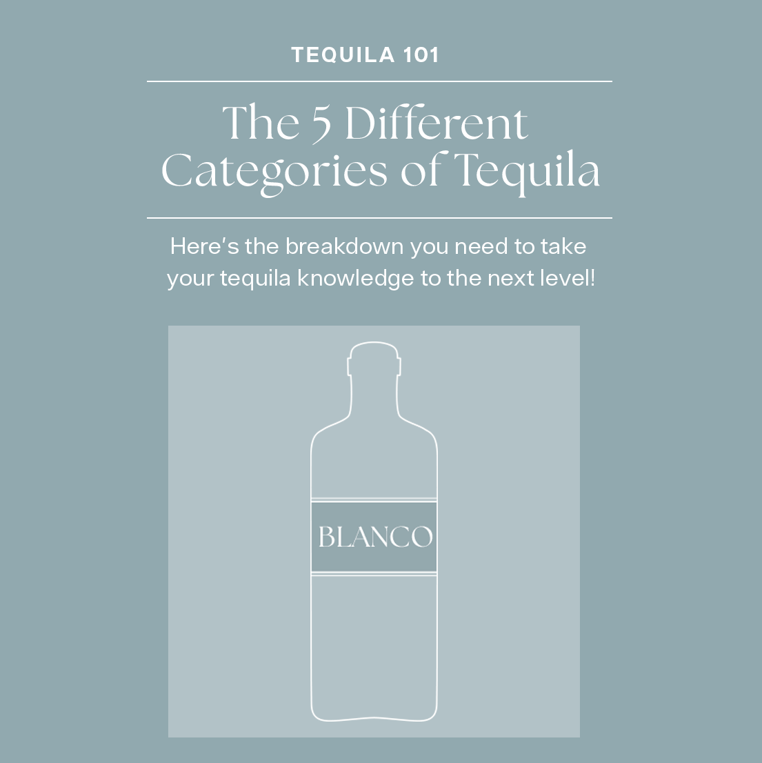 Tequila 101: The 5 Different Categories of Tequila