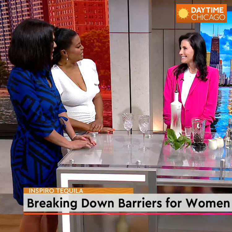 WGN/Daytime Chicago Segment