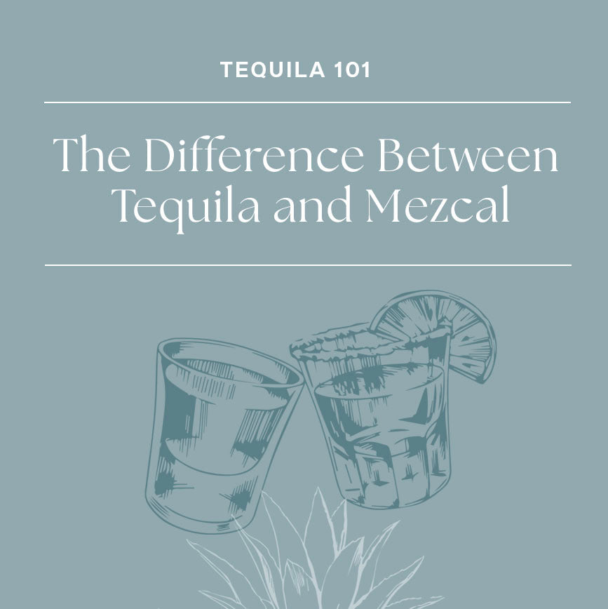 Tequila 101: The Difference Between Tequila and Mezcal
