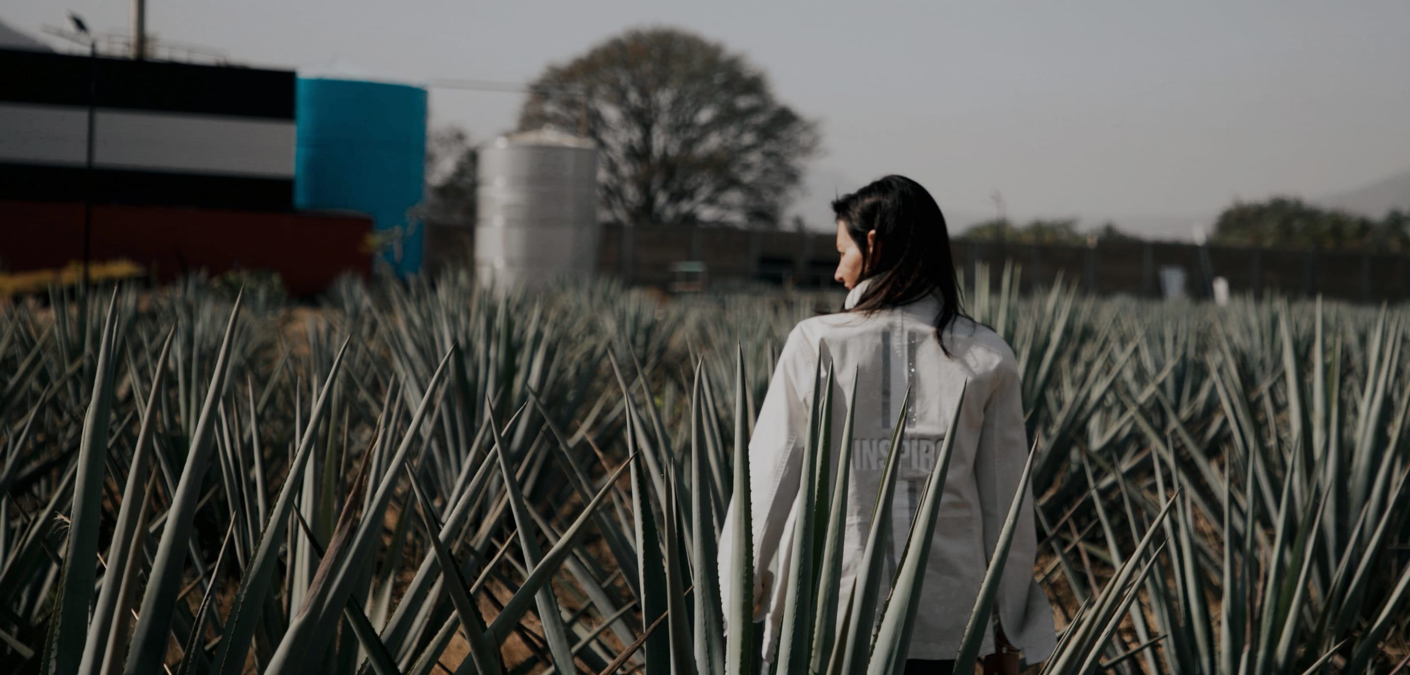 Mara Smith standing in a field of agave plants.
